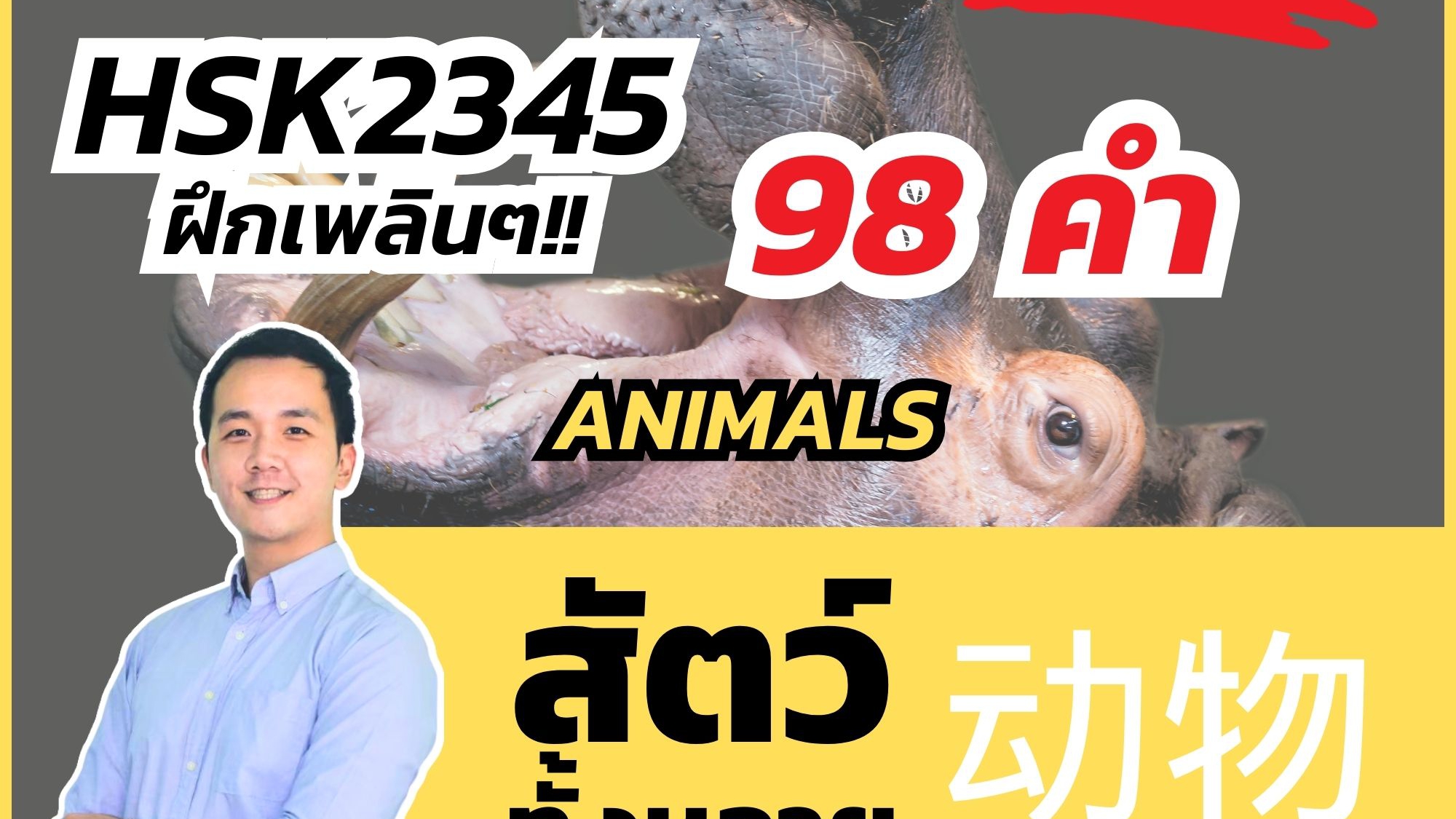 ศัพท์จีน สัตว์ ต่างๆ Animals