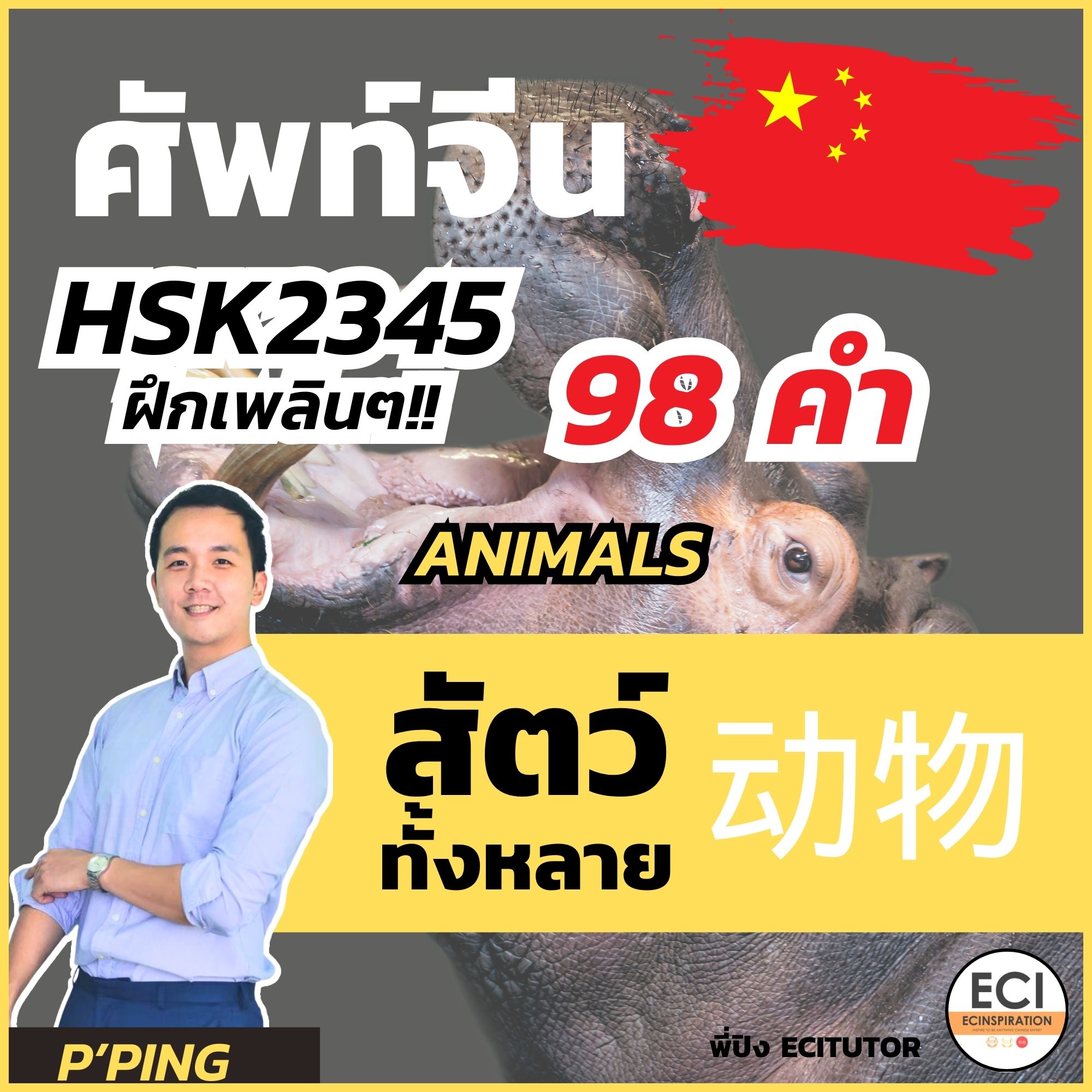 ศัพท์จีน สัตว์ ต่างๆ Animals